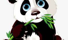 熊猫动漫,萌动时光，欢乐无限
