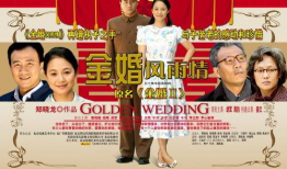 金婚电视剧免费观看,免费观看见证爱情五十载